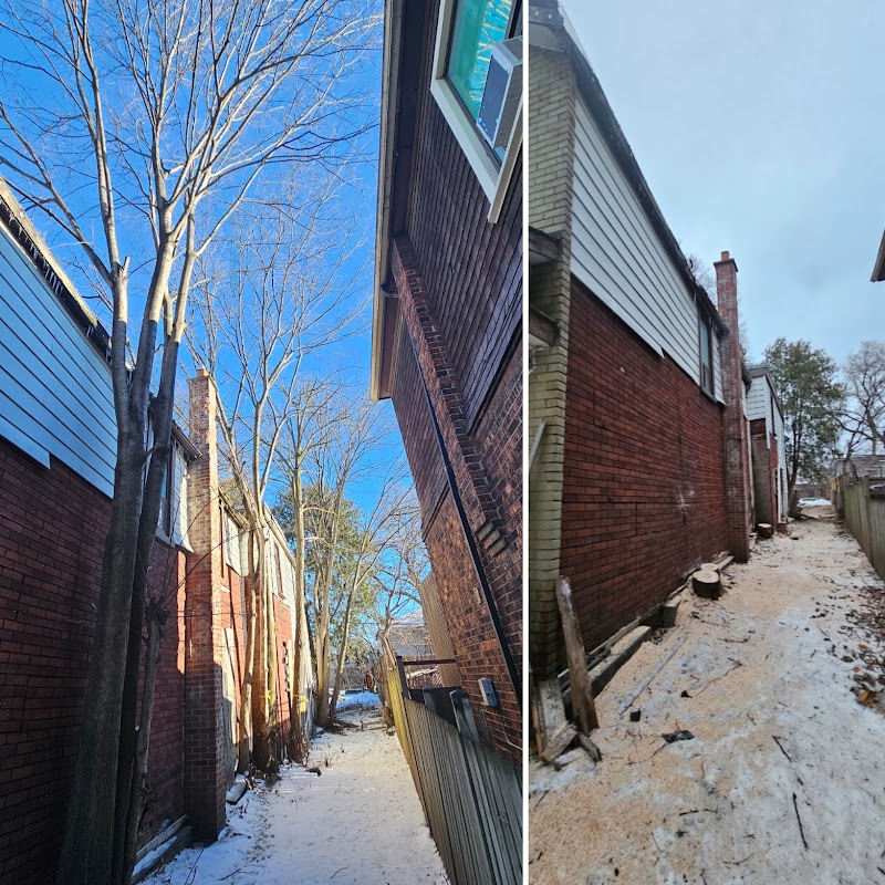 Toronto Tree Guys Inc. photo 5