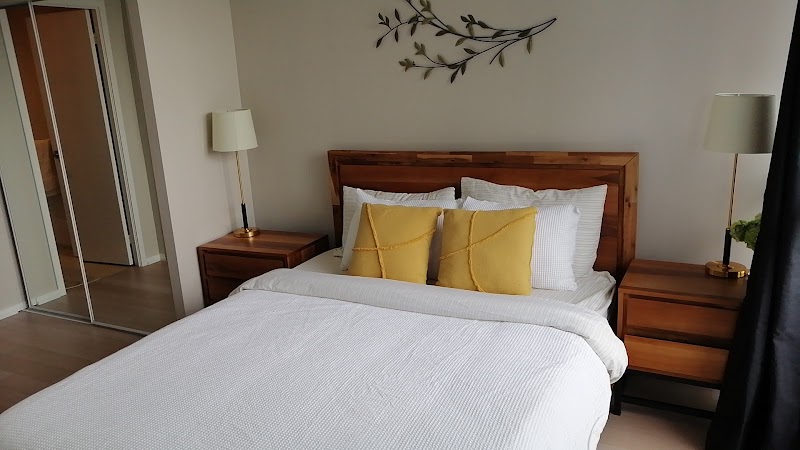 Toronto Shine Cleaning photo 3