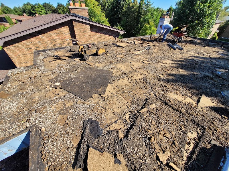 Best Flat Roof photo 2