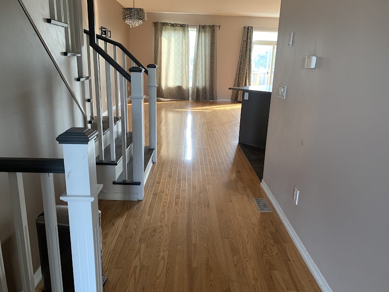 MALOUT CLEANING SERVICES LTD. photo 1