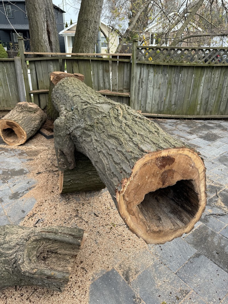 Aaron's Tree Care photo 3