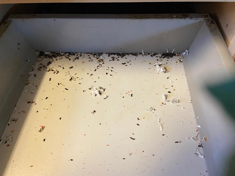 Provincial Pest Control Toronto photo 2