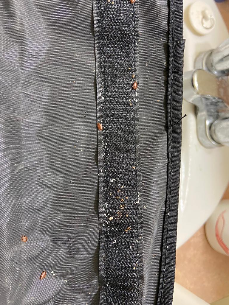 Provincial Pest Control Toronto photo 4