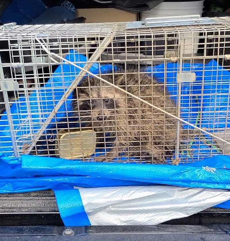 Exterminx Pest Control photo 5