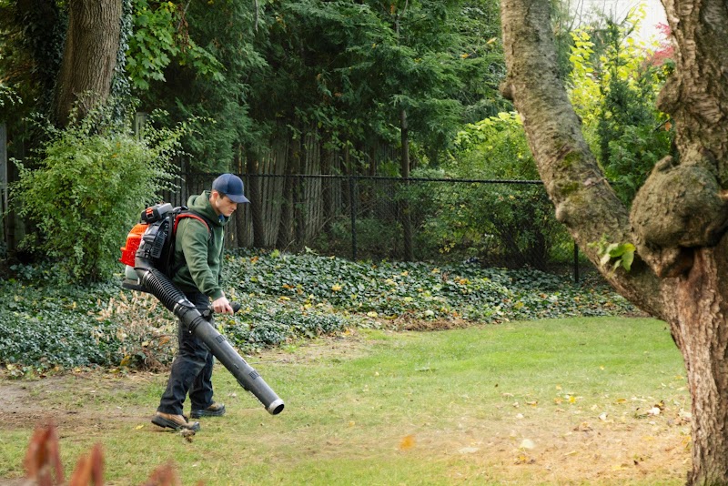 Sharp Edge Landscaping photo 5