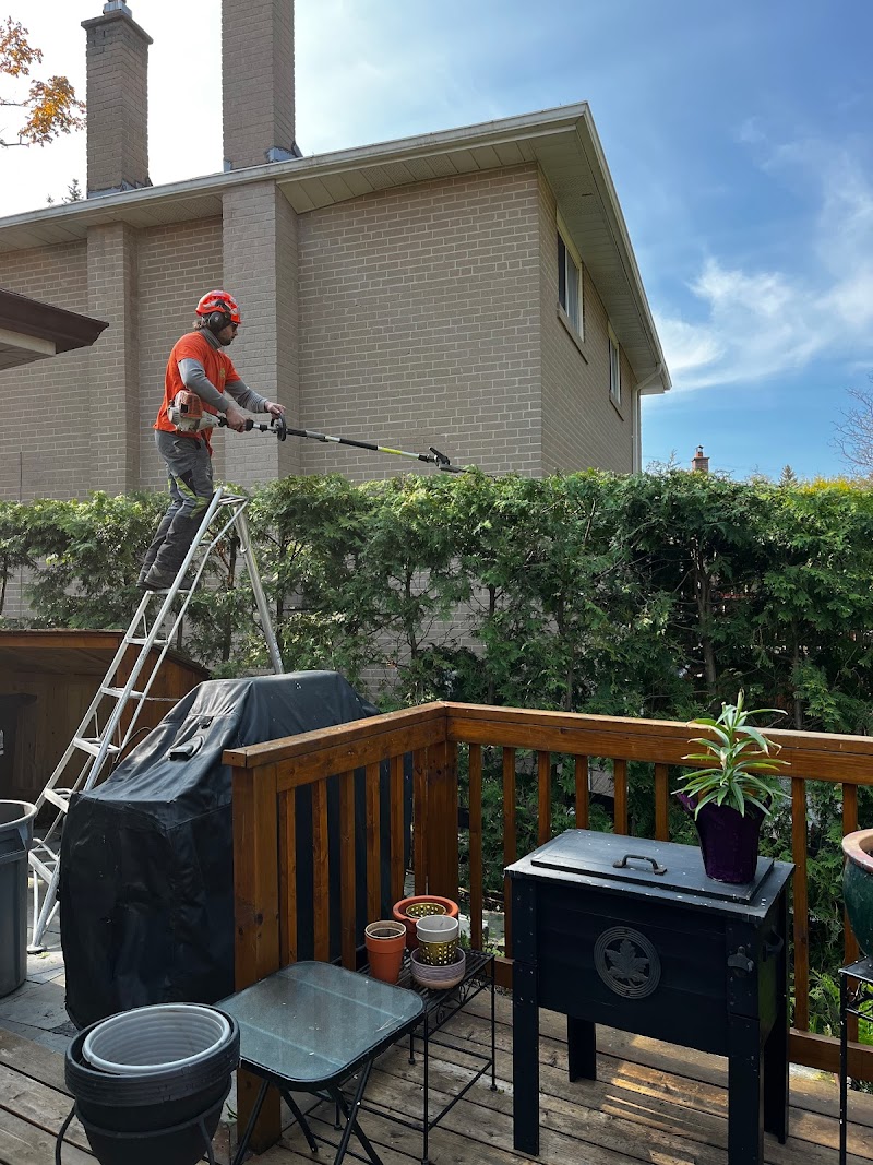 Goodwood Tree Ltd. photo 4