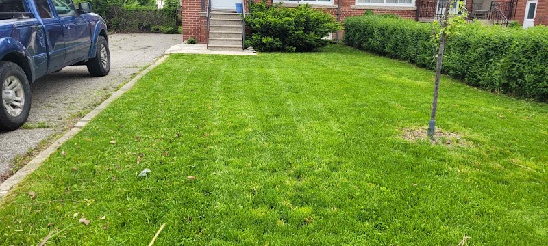 4ever Green Landscaping Services Ltd photo 1