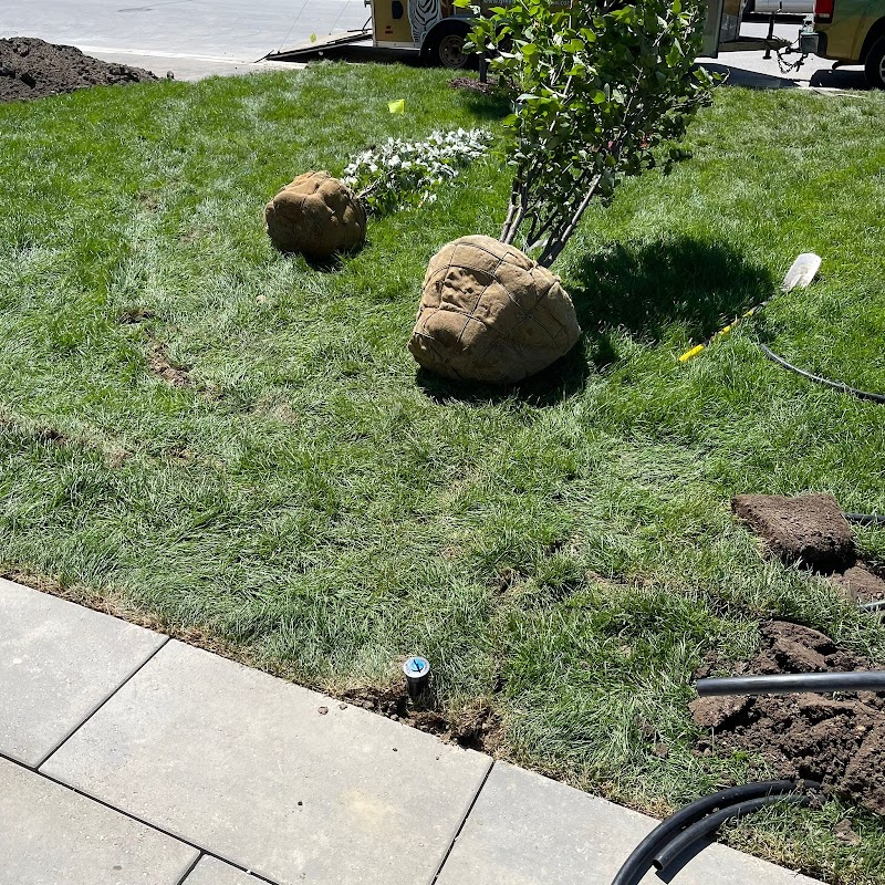 4ever Green Landscaping Services Ltd photo 2