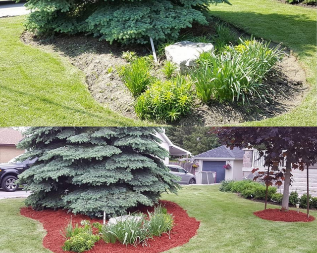 4ever Green Landscaping Services Ltd photo 3