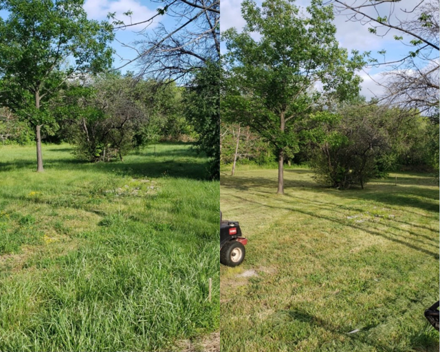 4ever Green Landscaping Services Ltd photo 4