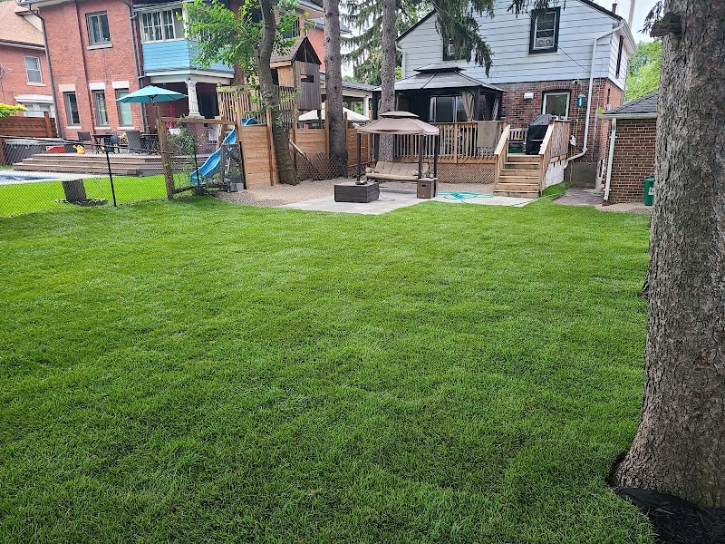 4ever Green Landscaping Services Ltd photo 5