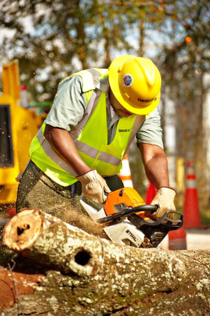 Davey Tree Expert Co. of Canada, Limited photo 2