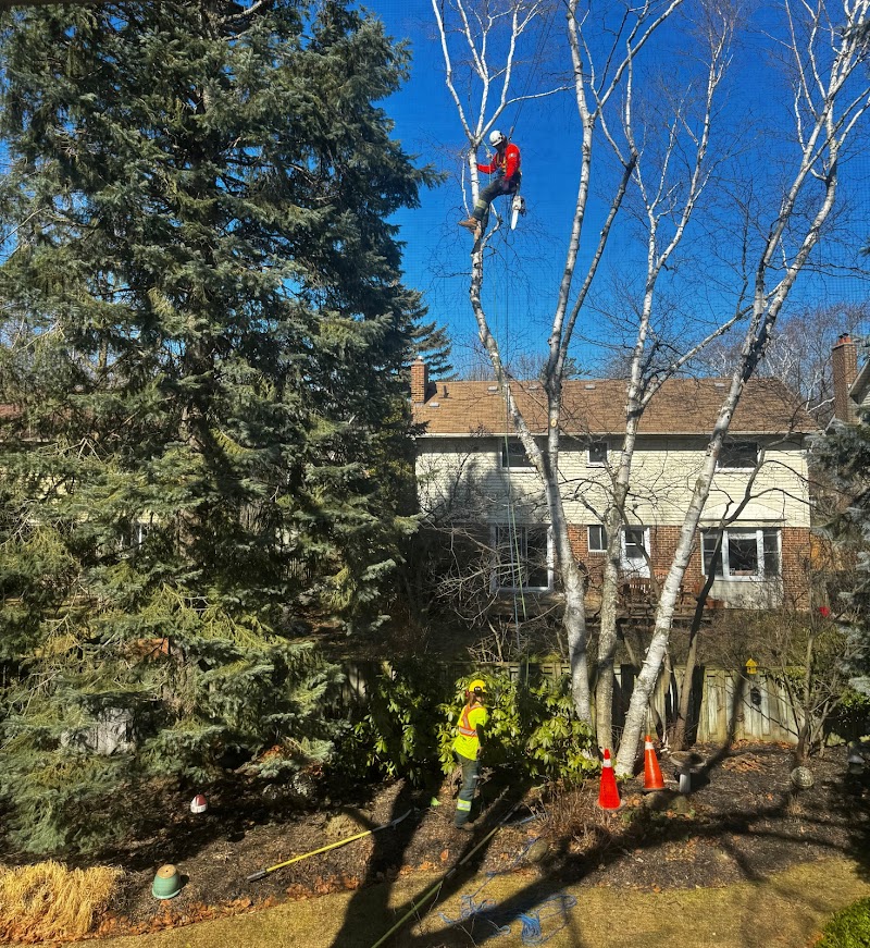 Davey Tree Expert Co. of Canada, Limited photo 3