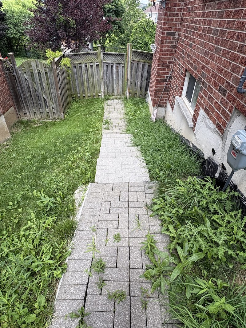 AM landscaping photo 3