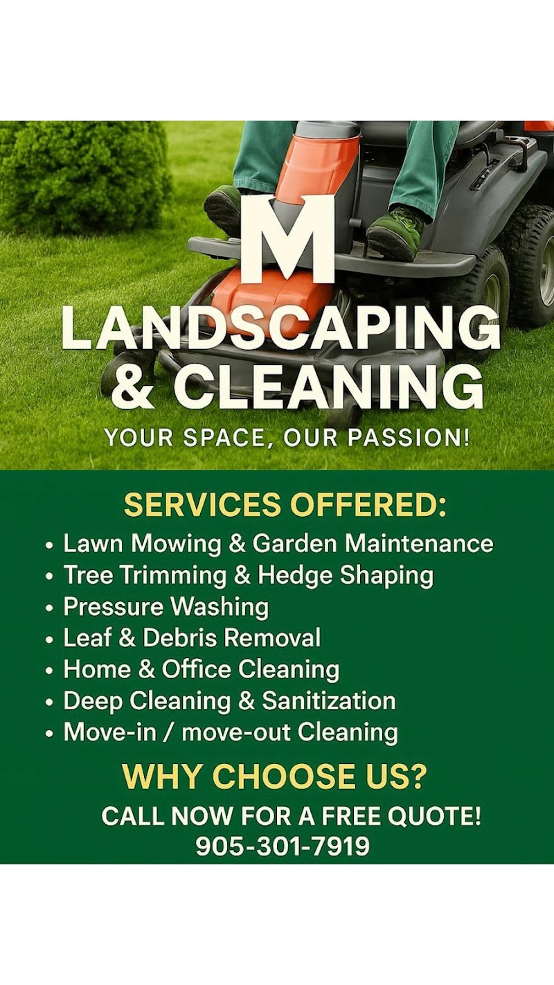 AM landscaping photo 5