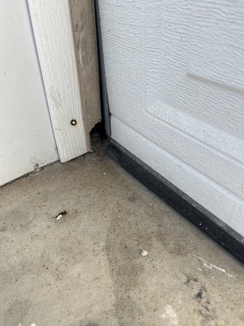 Pestisect Pest Control photo 4