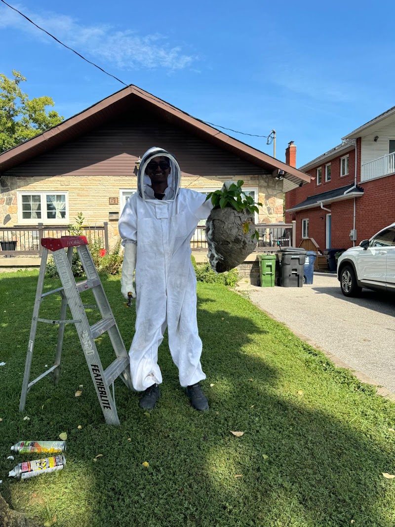 Pestisect Pest Control photo 5