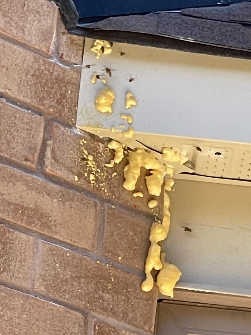 Pesticon Pest Control Inc. photo 2