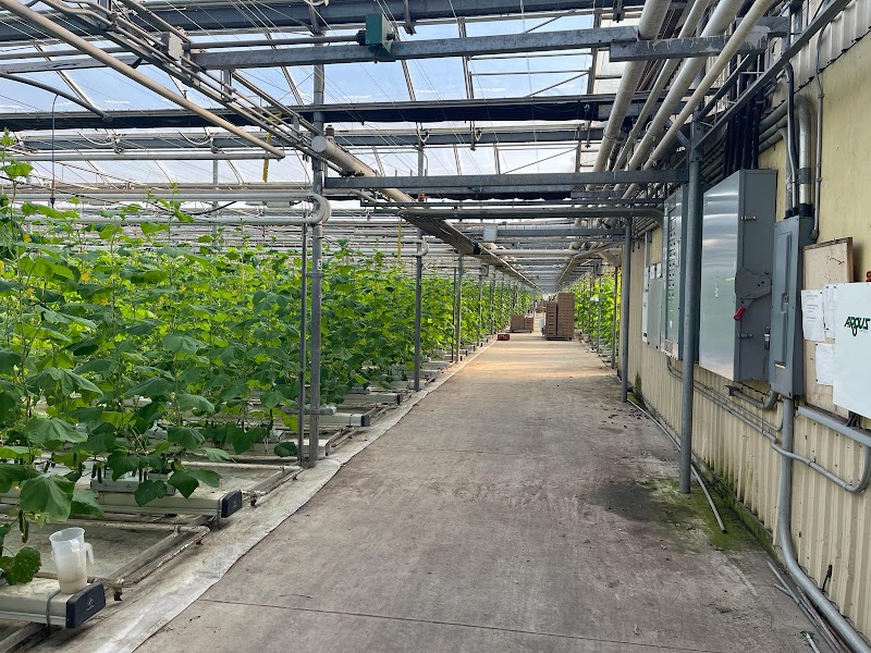 NR HVAC Solutions photo 1