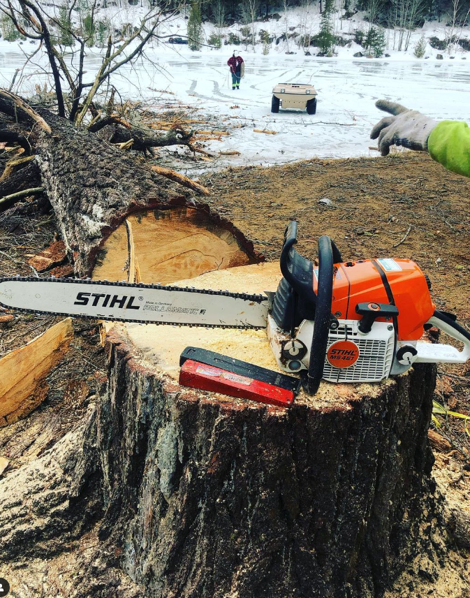 Toronto Tree Service - TTS photo 5