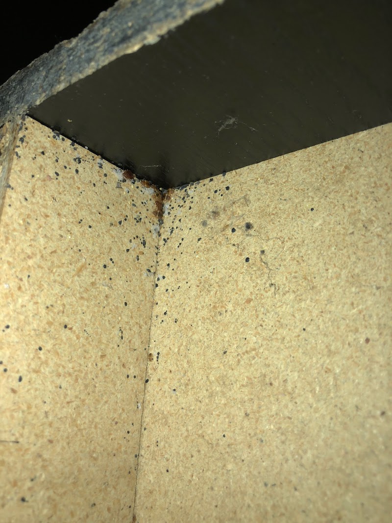 Economical Pest Control photo 5