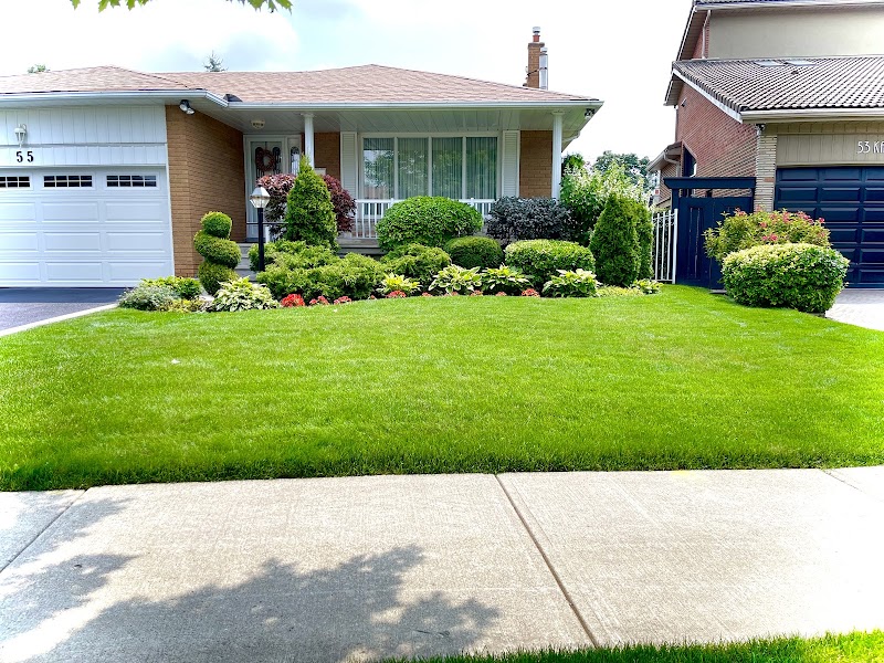 JNB Landscaping photo 1