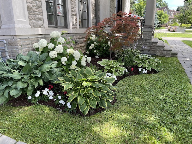 JNB Landscaping photo 2