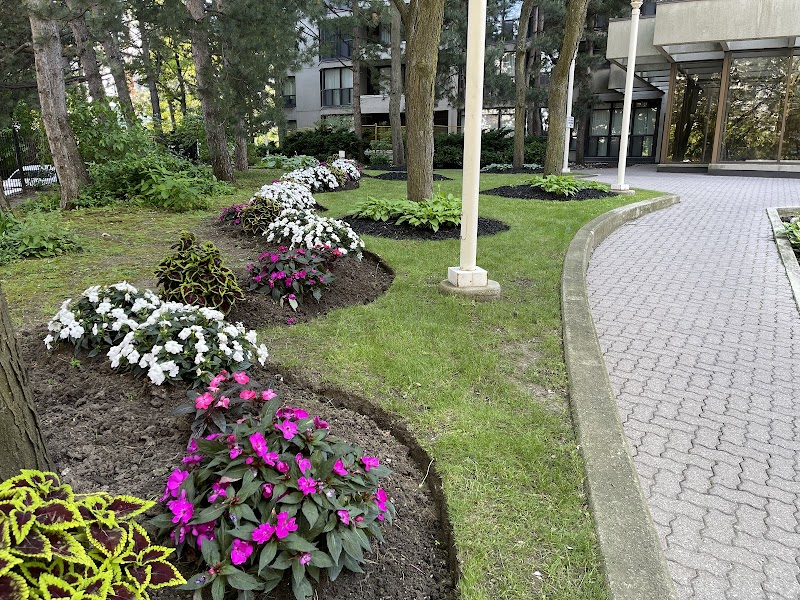 JNB Landscaping photo 4