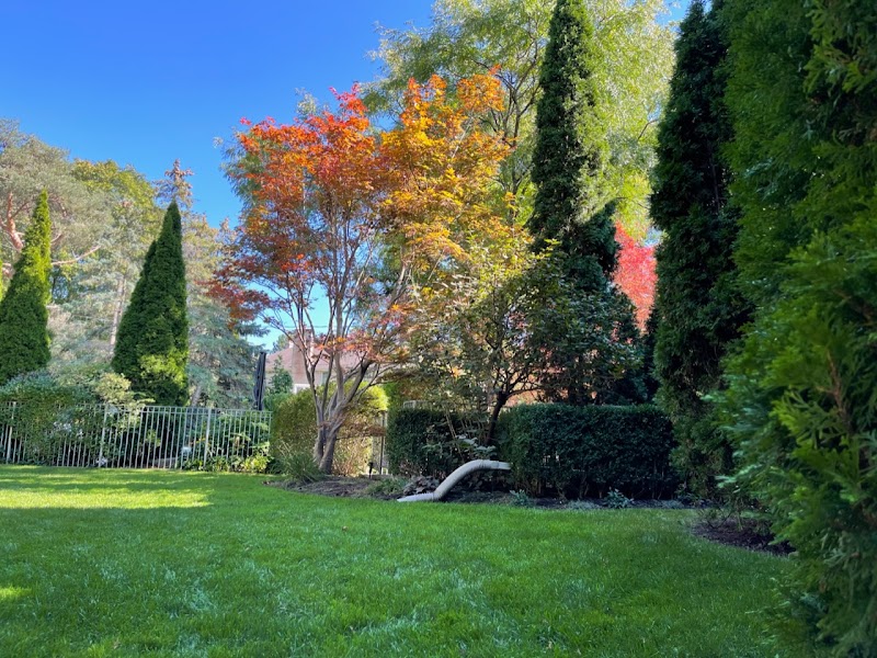 JNB Landscaping photo 5