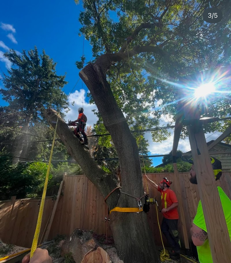 Eaton Tree Solutions Inc photo 2