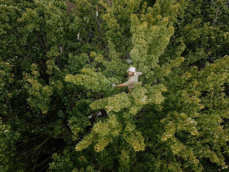 Eaton Tree Solutions Inc photo 3