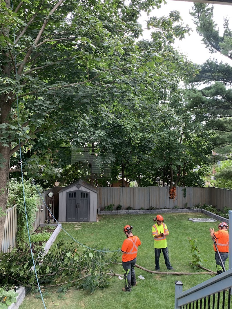 Upanoak Tree Care Inc. photo 1