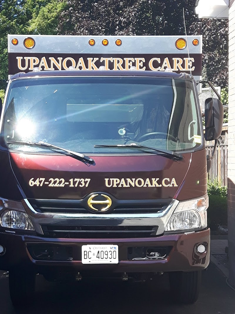 Upanoak Tree Care Inc. photo 2