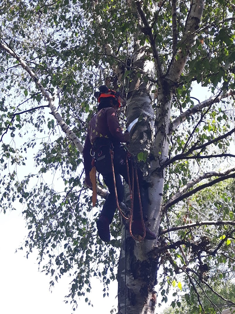 Upanoak Tree Care Inc. photo 3