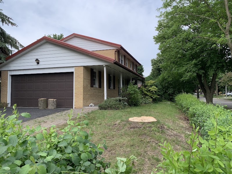 Upanoak Tree Care Inc. photo 4