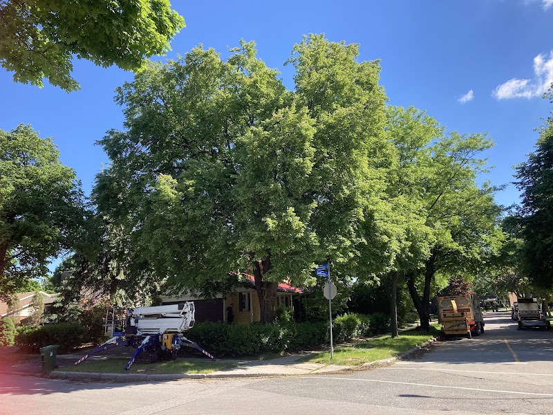 Upanoak Tree Care Inc. photo 5