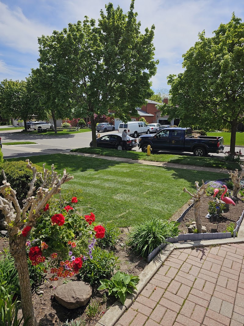 Greener Land photo 3