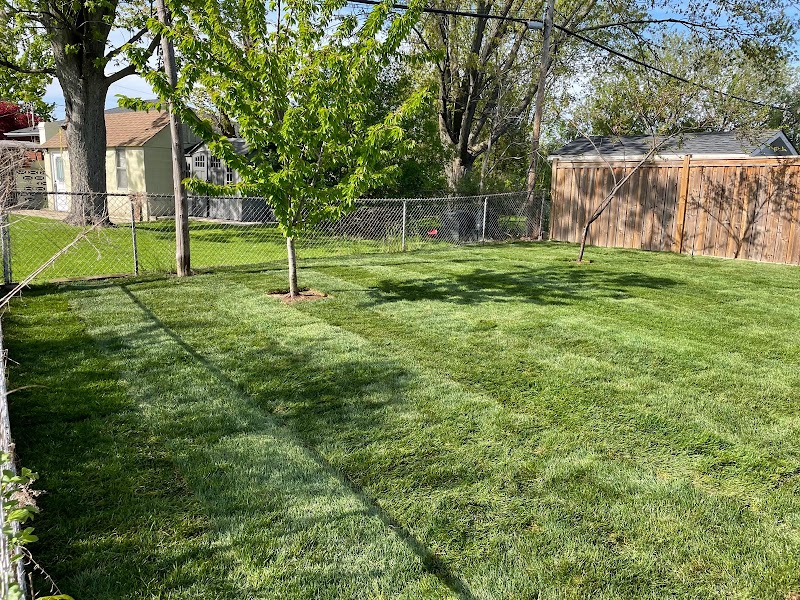 Greener Land photo 4