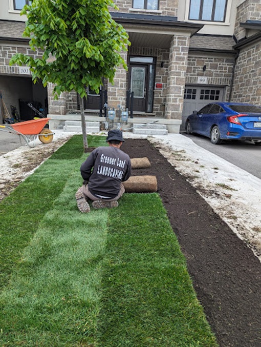 Greener Land photo 5