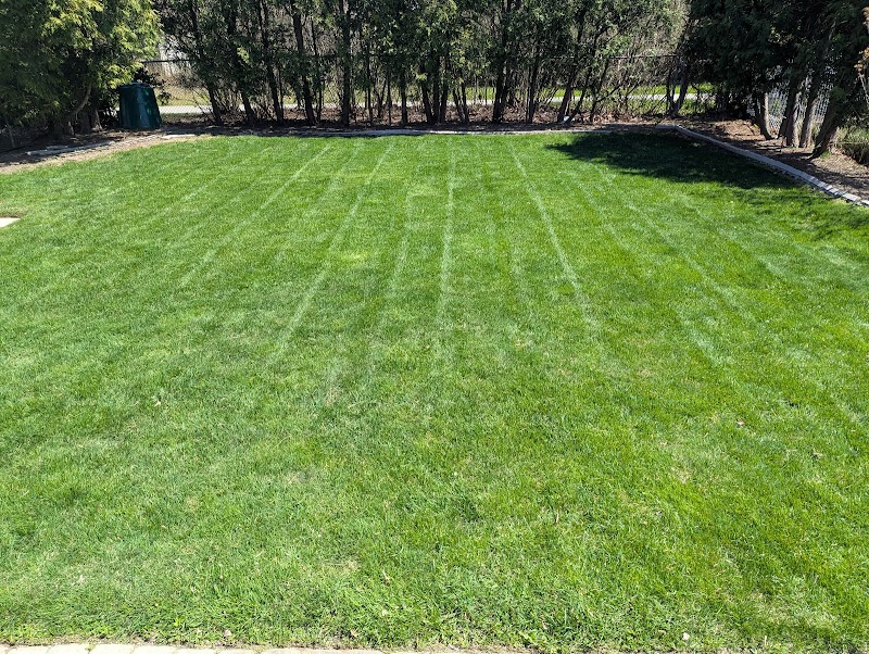 E'z Lawn & Snow Services photo 1