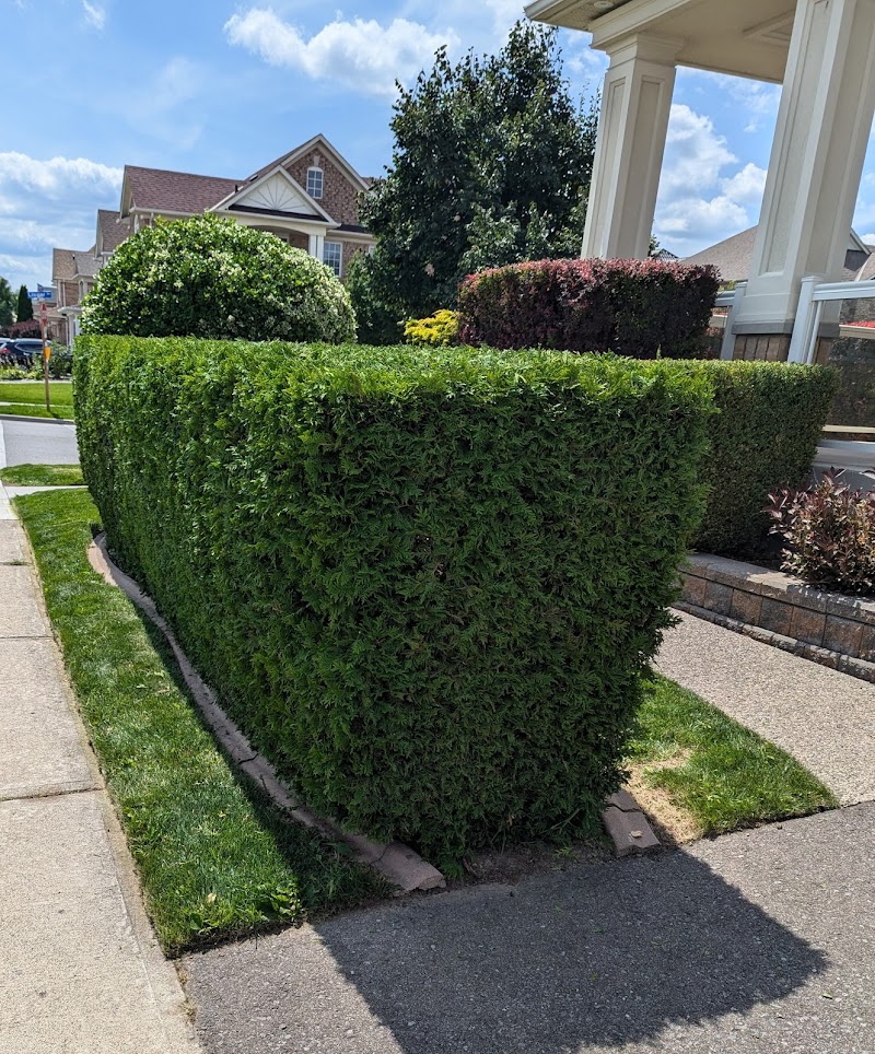 E'z Lawn & Snow Services photo 2