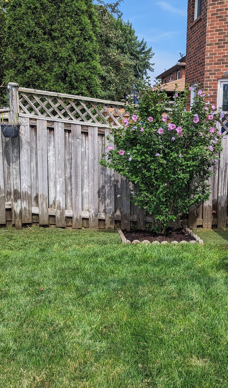 E'z Lawn & Snow Services photo 5