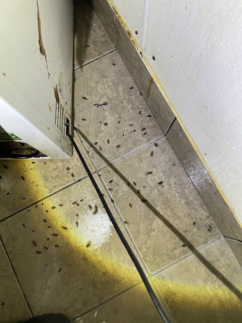 Wonder Pest Control photo 1