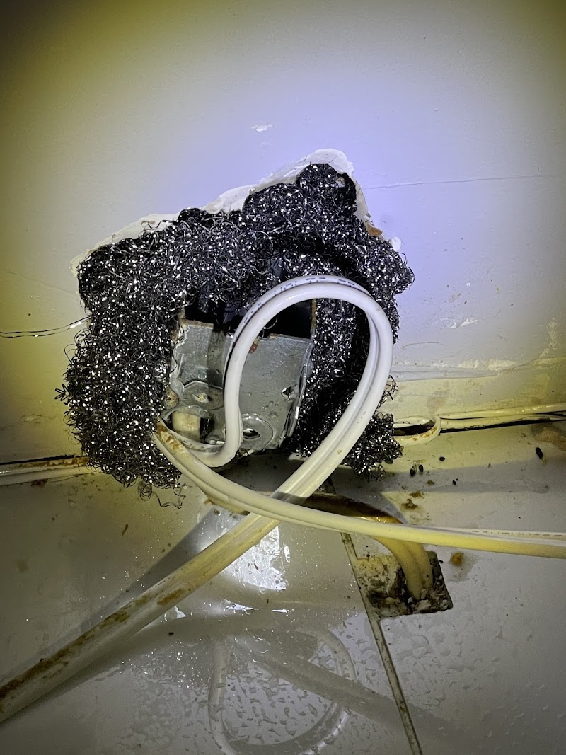 Wonder Pest Control photo 2