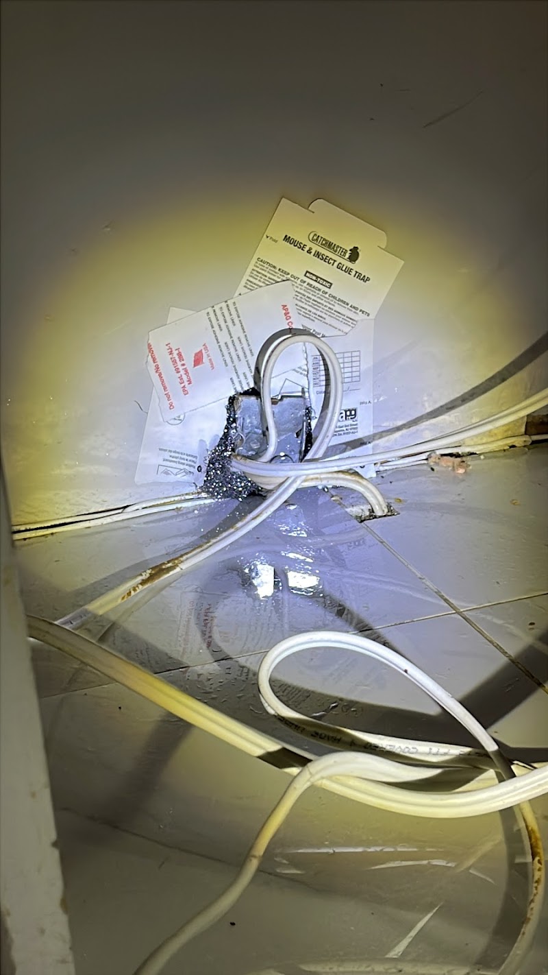 Wonder Pest Control photo 3