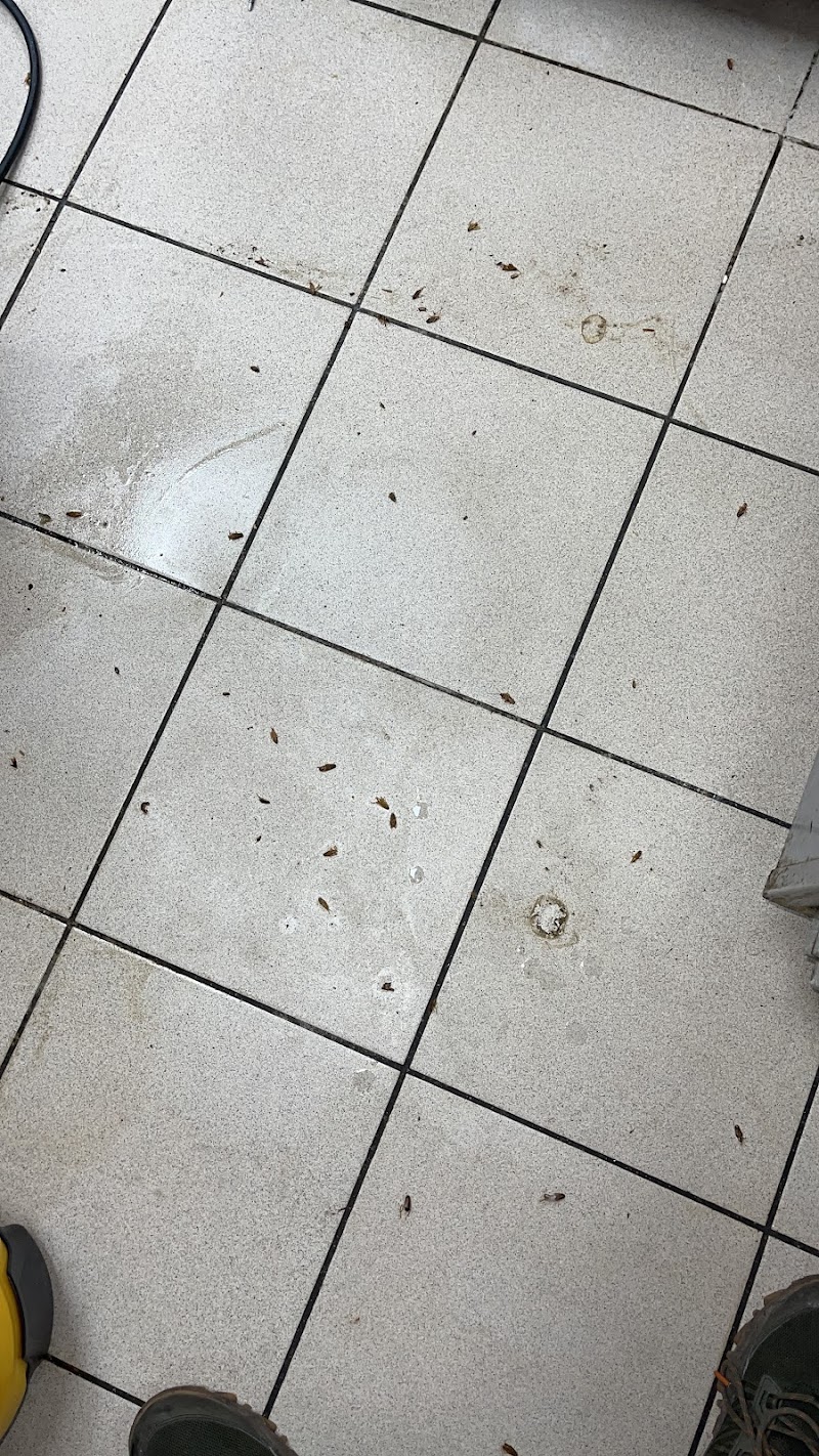 Wonder Pest Control photo 4