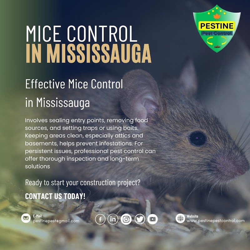 Pestine Pest Control Mississauga photo 1