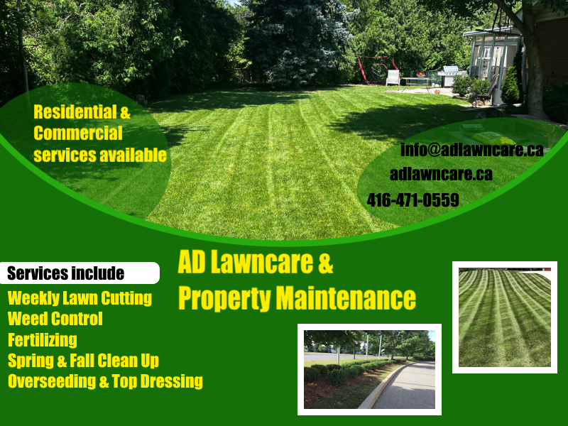 AD Lawncare & Lawn Cutting/ Fertilizer & Weed Control photo 5