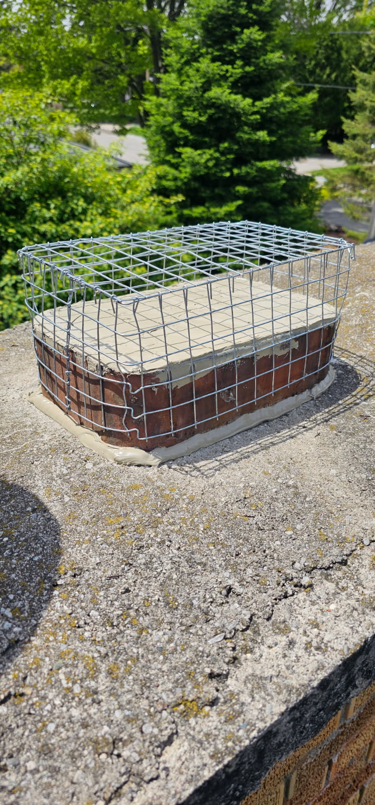 Professional Wildlife Removal photo 2