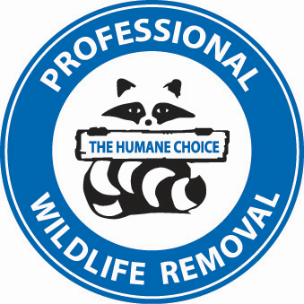 Professional Wildlife Removal photo 3